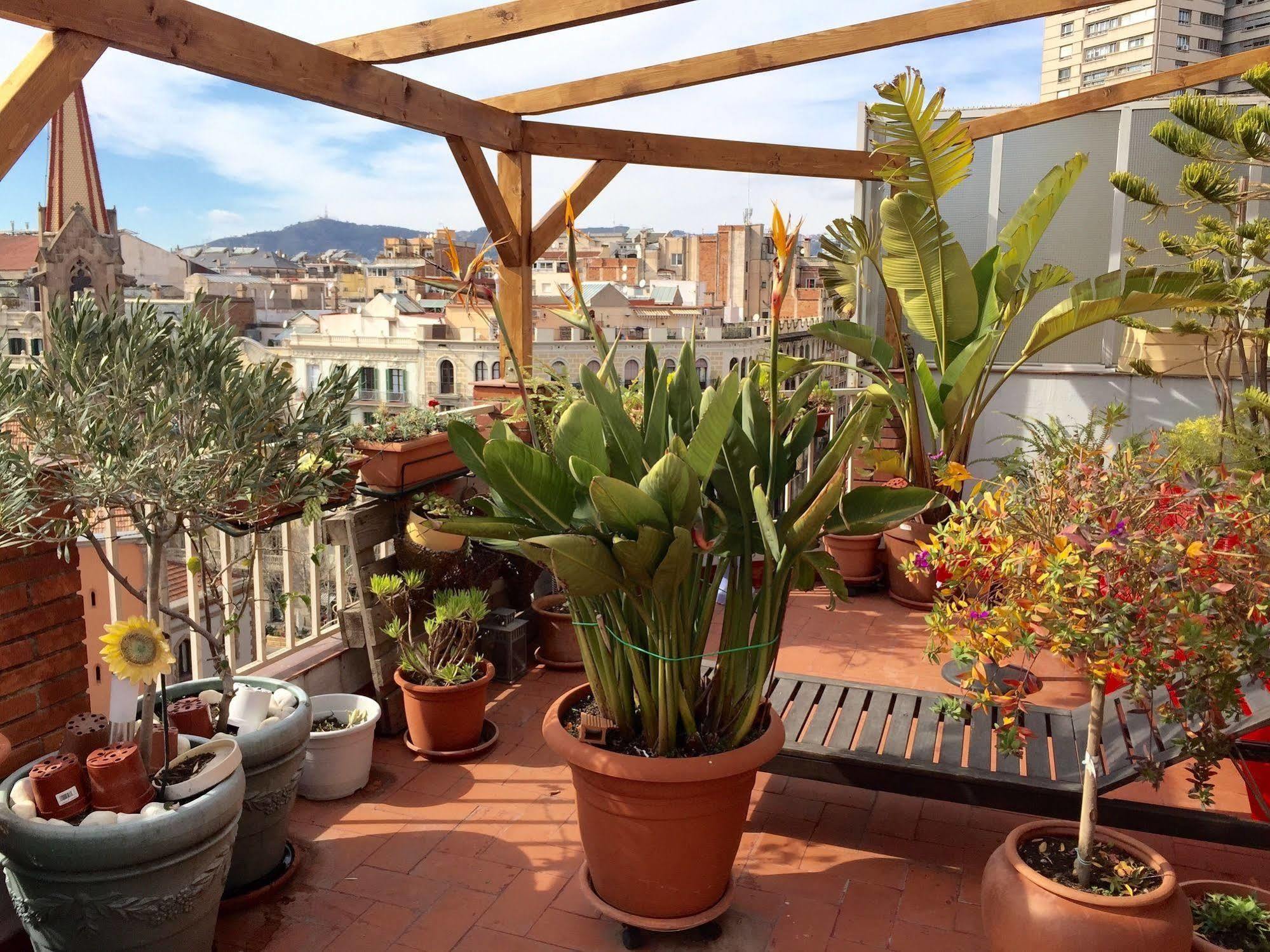 The Sky Dome Appartement Barcelona Buitenkant foto